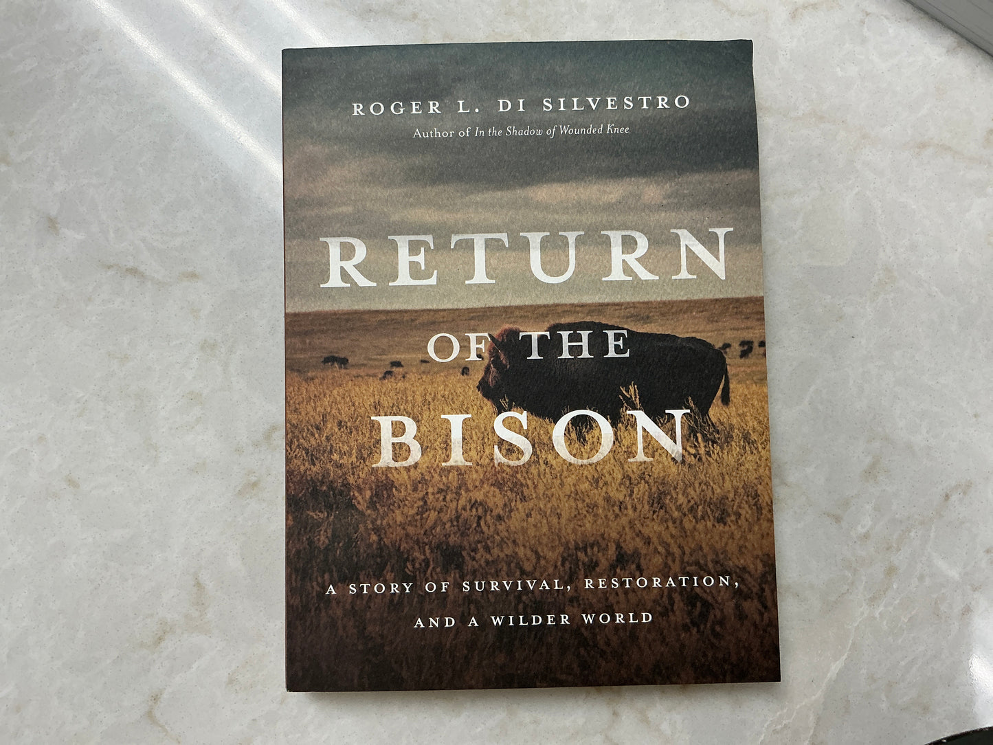 Return of the Bison