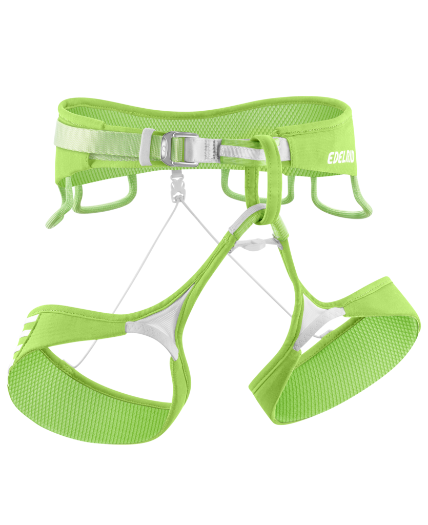 Ace Harness