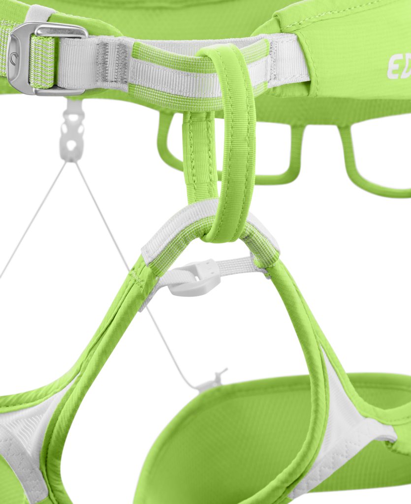Ace Harness