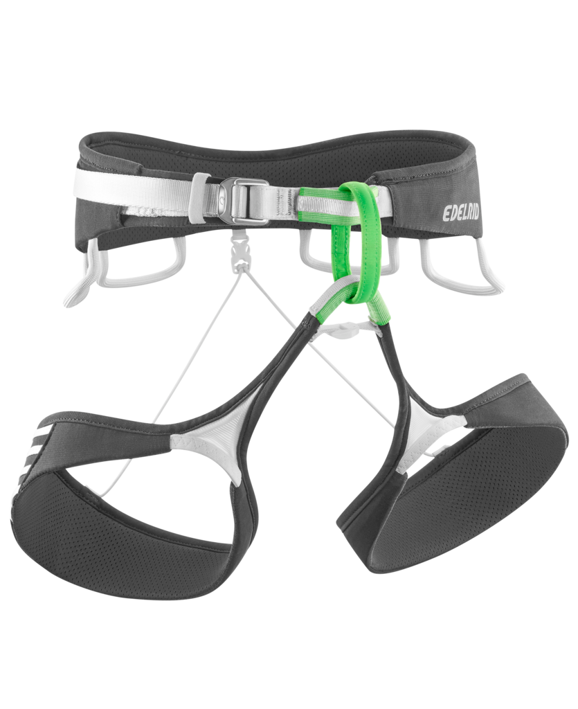 Ace Harness