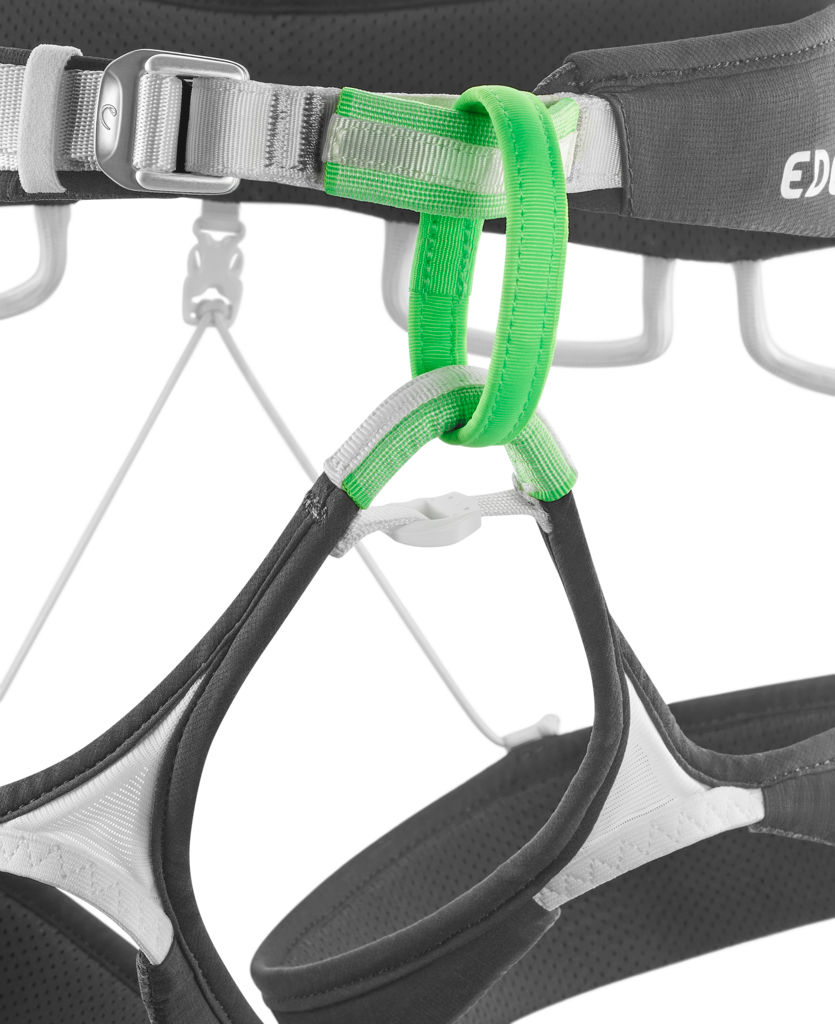 Ace Harness
